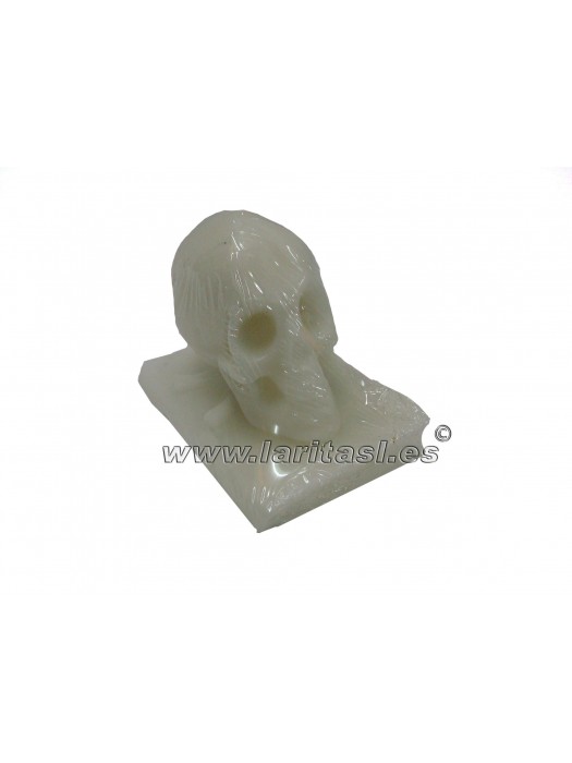 Figura Cera Calavera Con libro Blanca